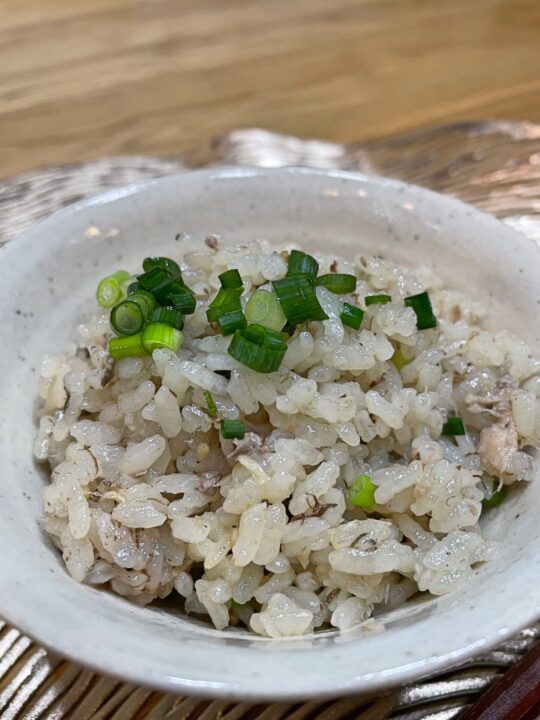 ネギを散らして焼きサバごはんの出来上がり、美味しそうです。